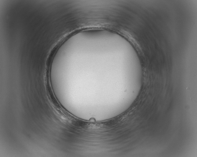 X0000068810346200606021557