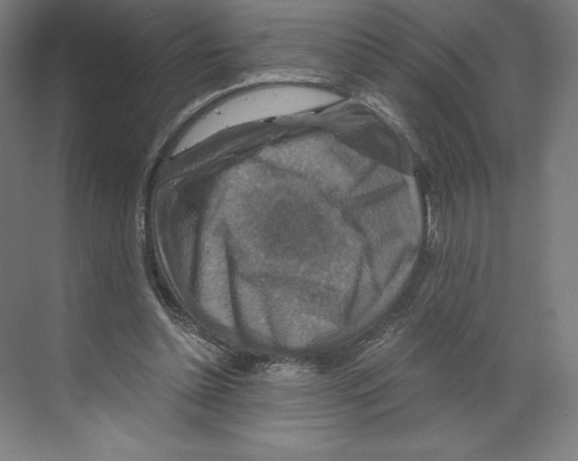 X0000068810348200606021557