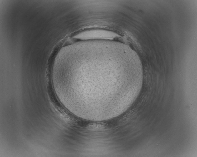 X0000068810354200606021557