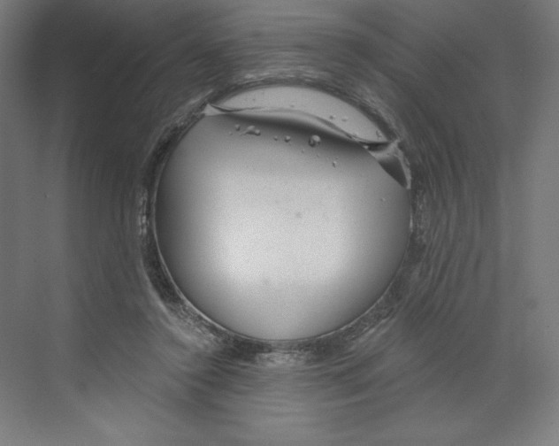 X0000068810356200606021557