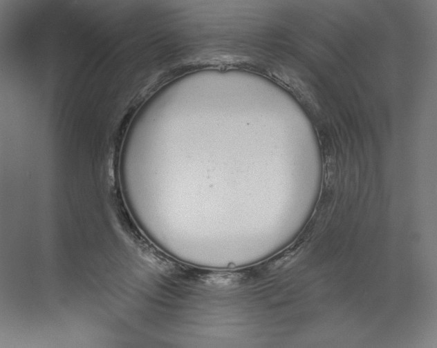 X0000068810358200606021557