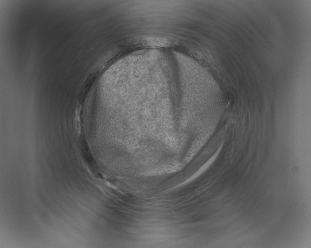 X0000068810360200606021557