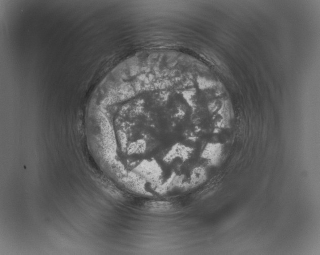 X0000068810361200606021557