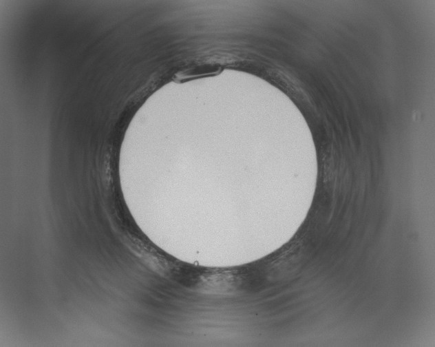 X0000068810362200606021557