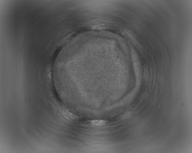 X0000068810363200606021557
