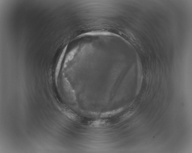 X0000068810366200606021557