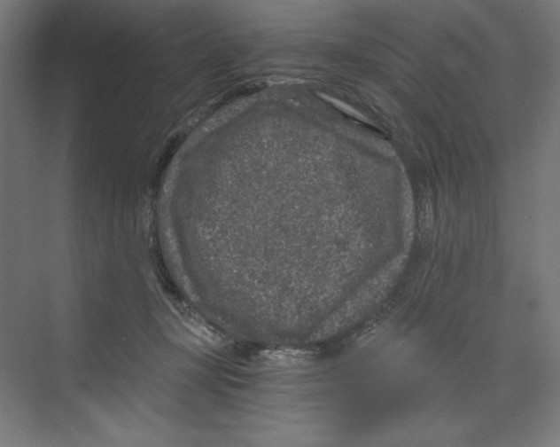 X0000068810367200606021557