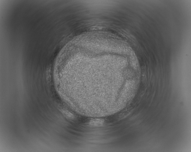 X0000068810369200606021557