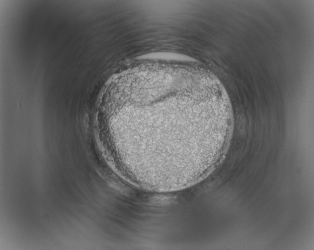 X0000068810375200606021557