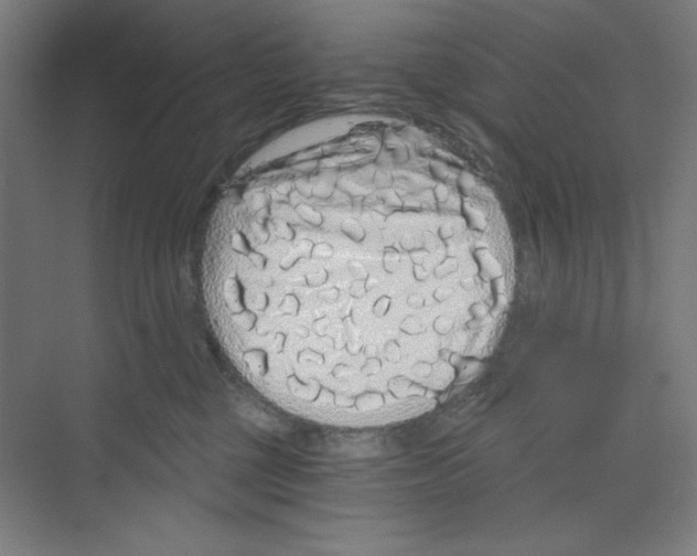 X0000068810377200606021557