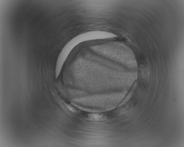 X0000068810380200606021557
