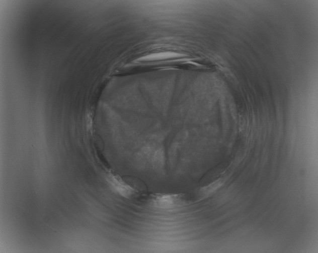 X0000068810382200606021557