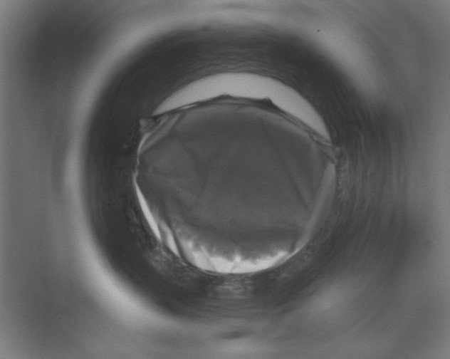 X0000068810383200606021557