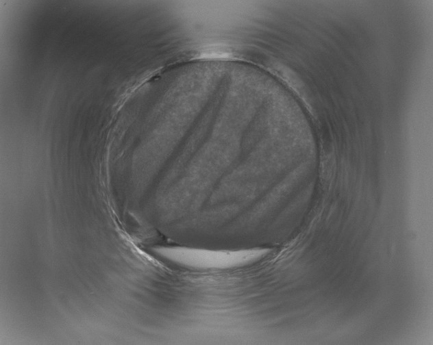 X0000068810385200606021556