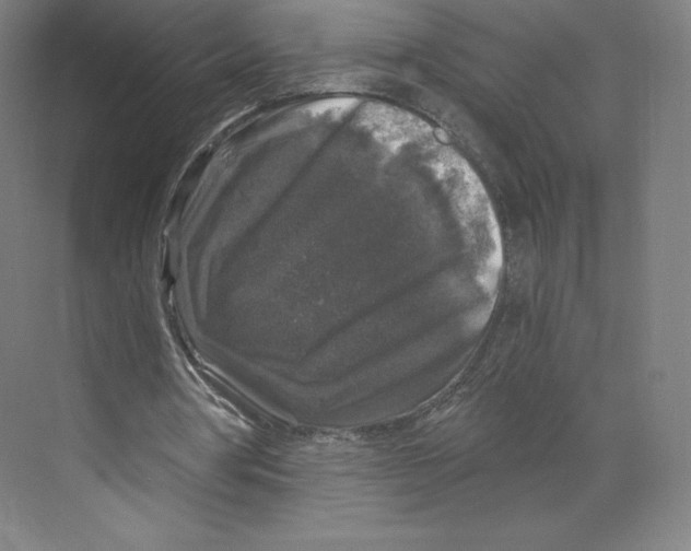 X0000068810386200606021556
