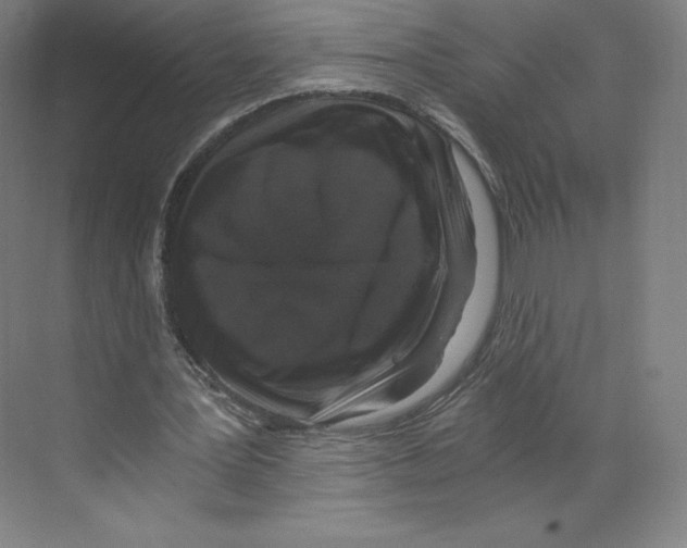 X0000068810387200606021556