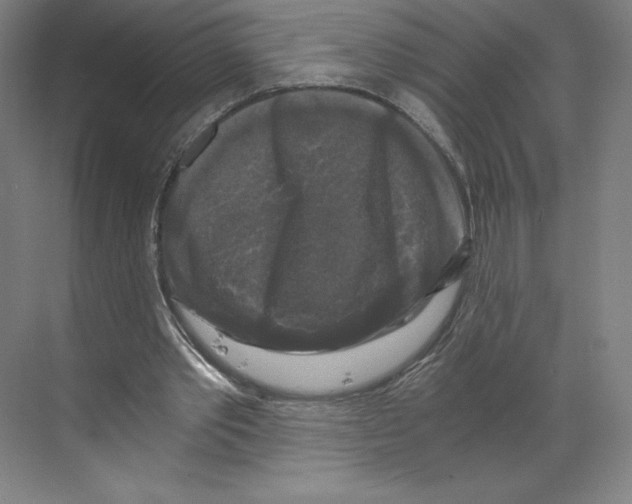 X0000068810389200606021556