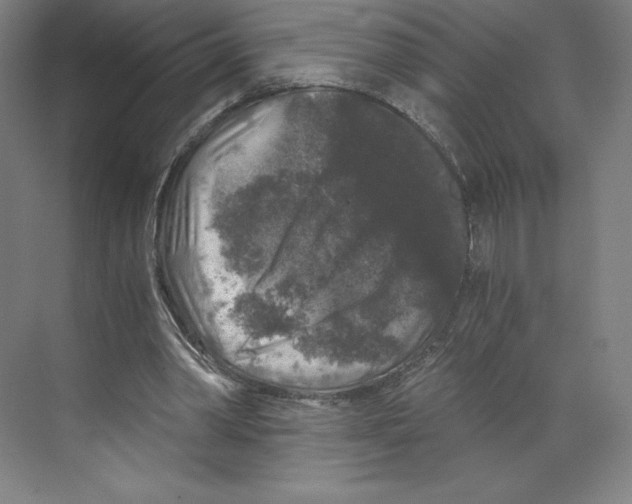 X0000068810390200606021556