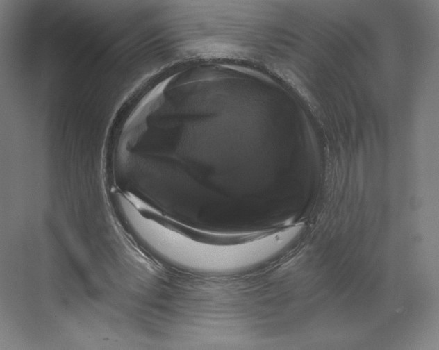 X0000068810391200606021556