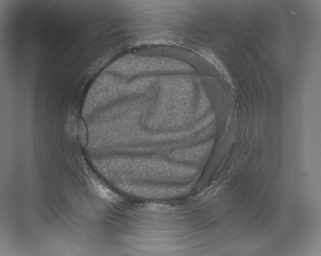 X0000068810393200606021556