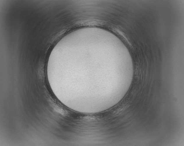X0000068810394200606021556