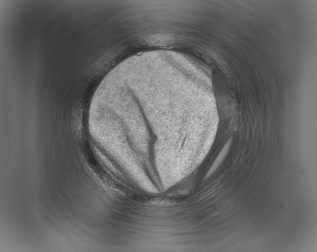 X0000068810404200606021556