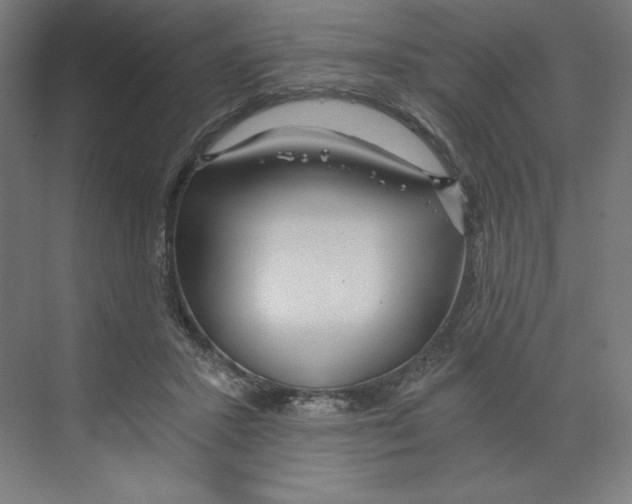 X0000068810407200606021556