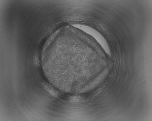 X0000068810408200606021556