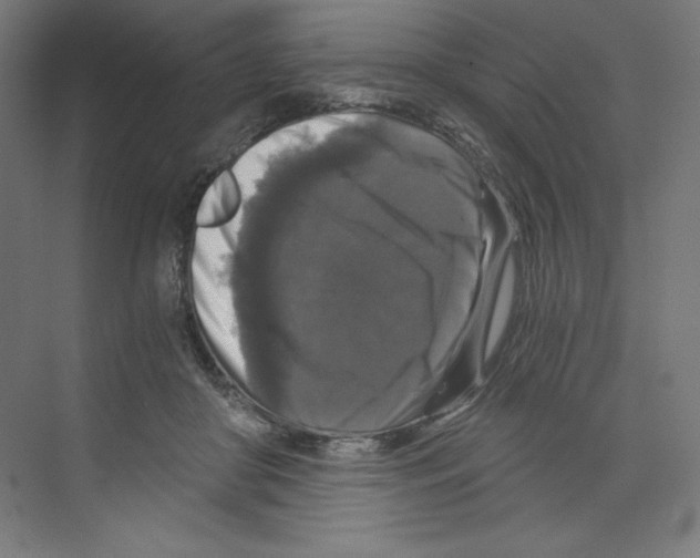 X0000068810410200606021556
