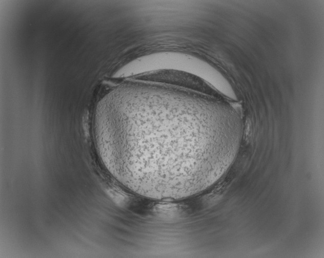 X0000068810413200606021556