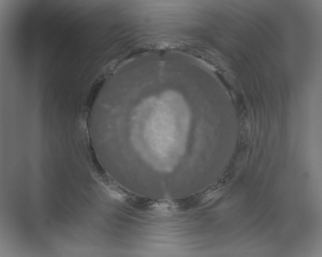 X0000068810415200606021556