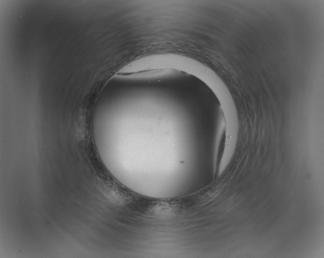 X0000068810416200606021556