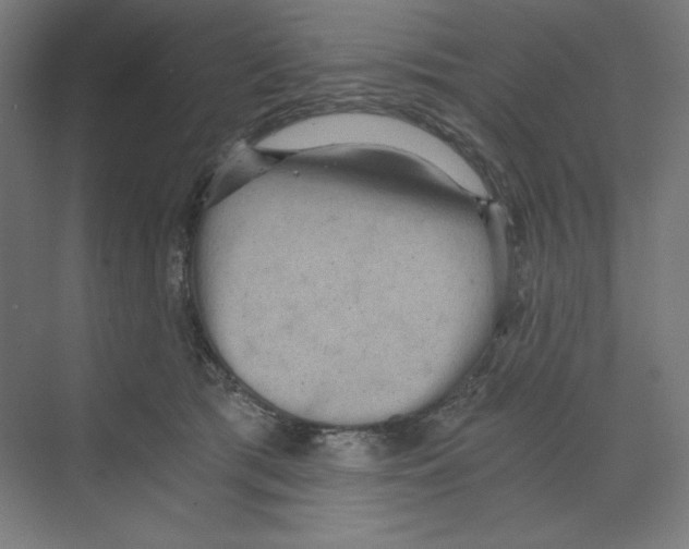 X0000068810417200606021556