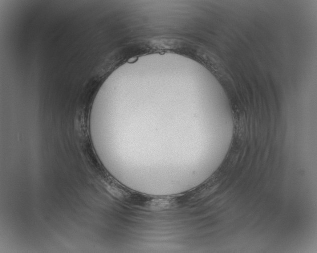 X0000068810418200606021556