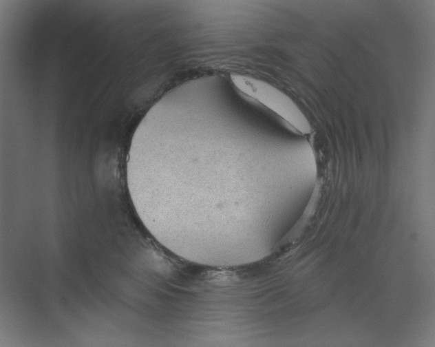 X0000068810424200606021556