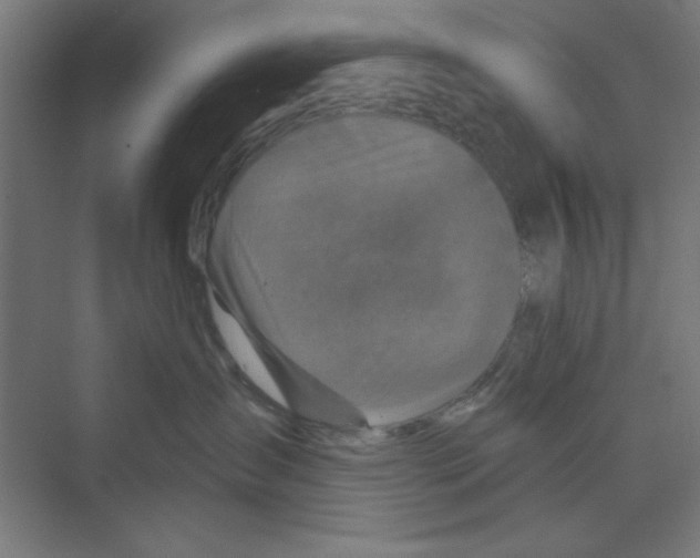 X0000068810431200606021556