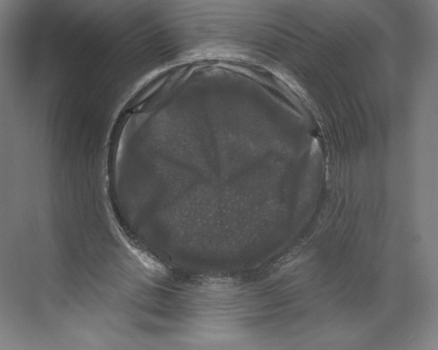 X0000068810438200606021555