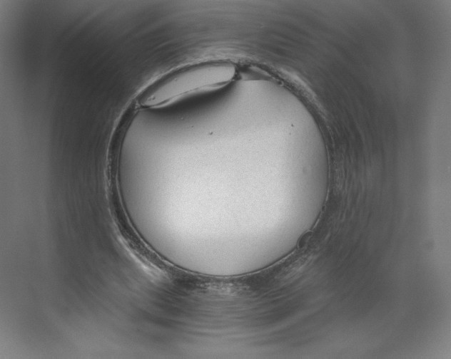 X0000068810439200606021555