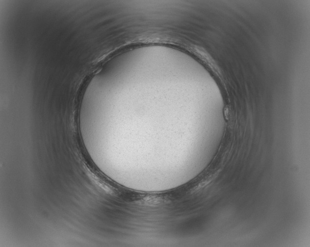 X0000068810441200606021555