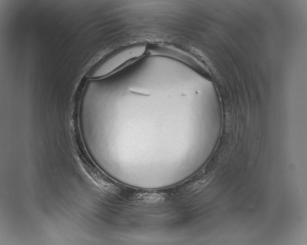X0000068810443200606021555
