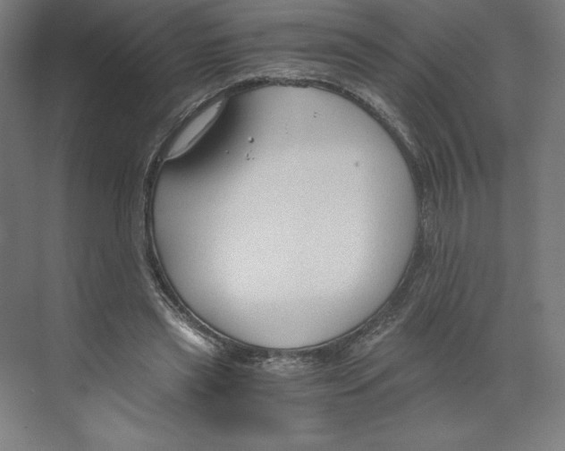 X0000068810445200606021555