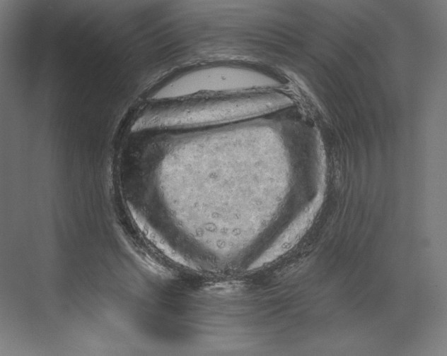 X0000068810447200606021555