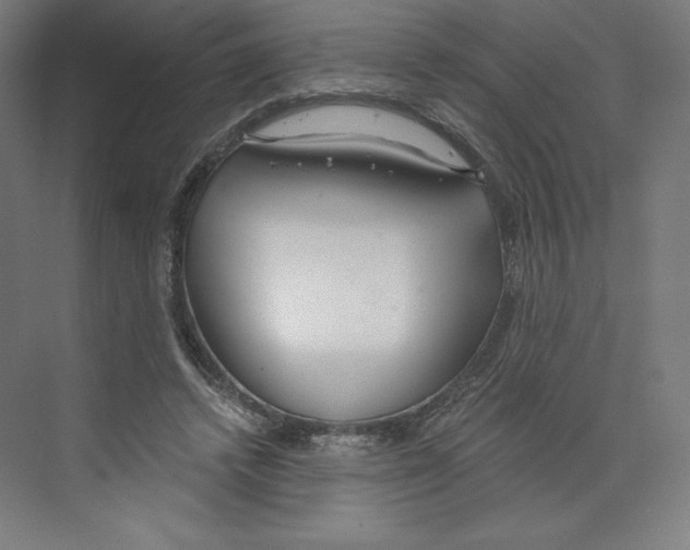 X0000068810448200606021555