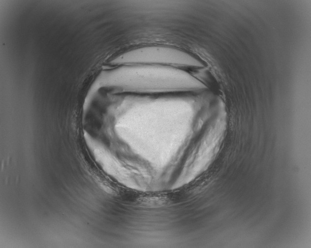 X0000068810449200606021555