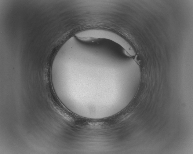 X0000068810450200606021555
