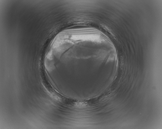 X0000068810451200606021555