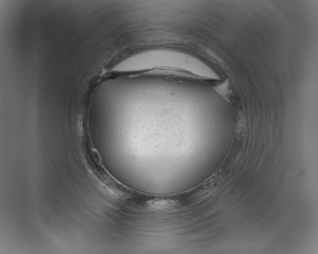X0000068810452200606021555