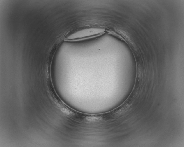 X0000068810453200606021555
