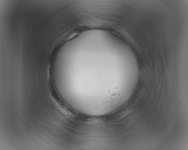X0000068810454200606021555