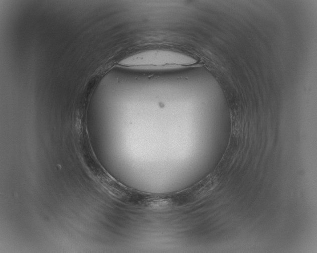 X0000068810456200606021555